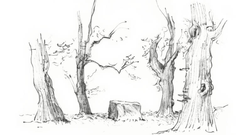 Zeichnung mit Bäumen und Skulptur von Karl Prantl